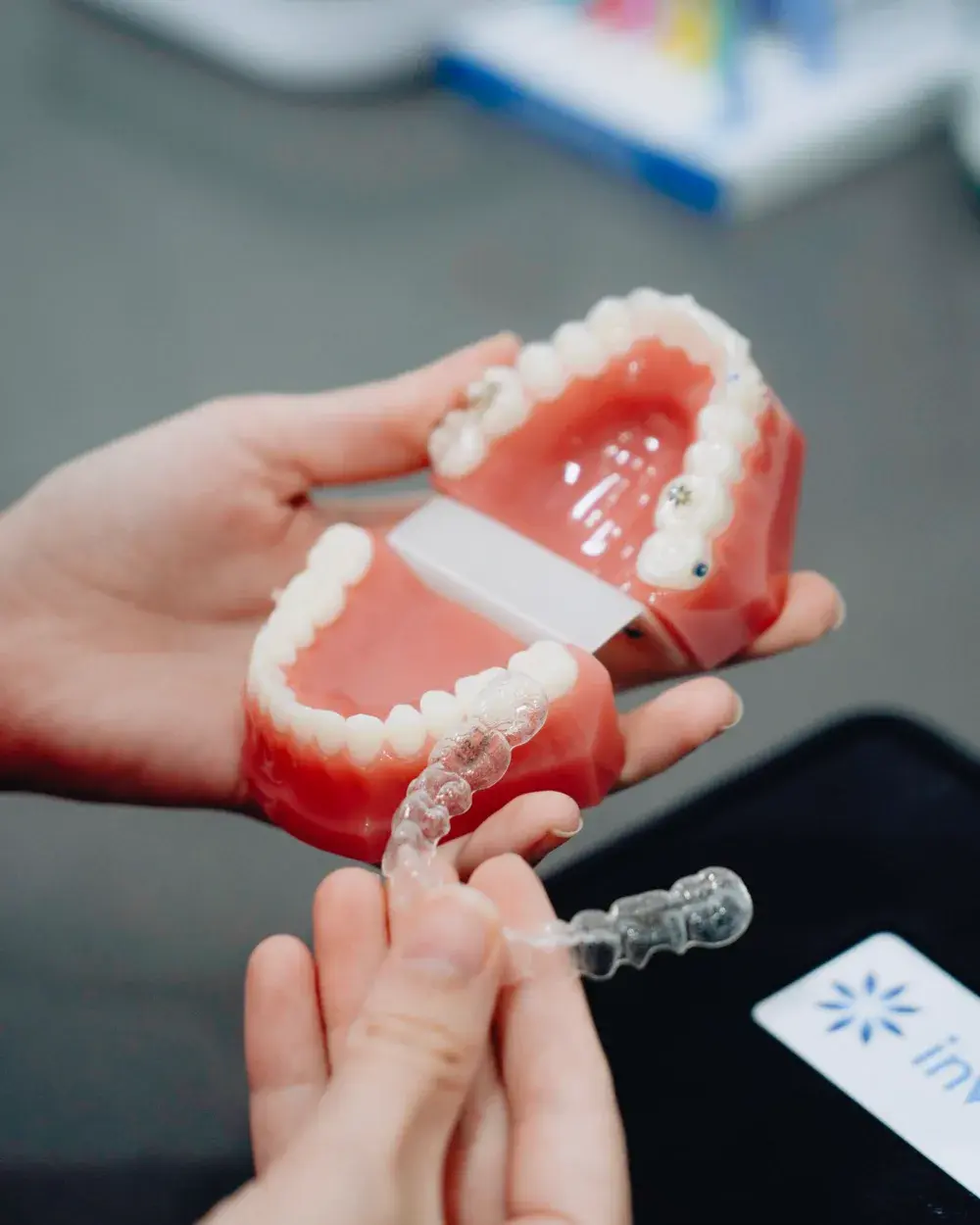 Hands holding a dental model used to fit dentures